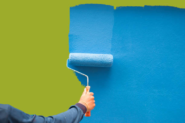 Reliable North Scituate, MA Mold Removal Solutions